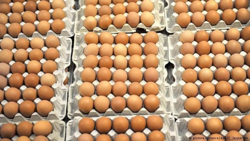 Cadena alemana Aldi retira todo su stock de huevos