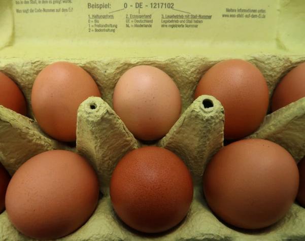 Bélgica apunta a Holanda por el caso de los huevos contaminados con pesticida