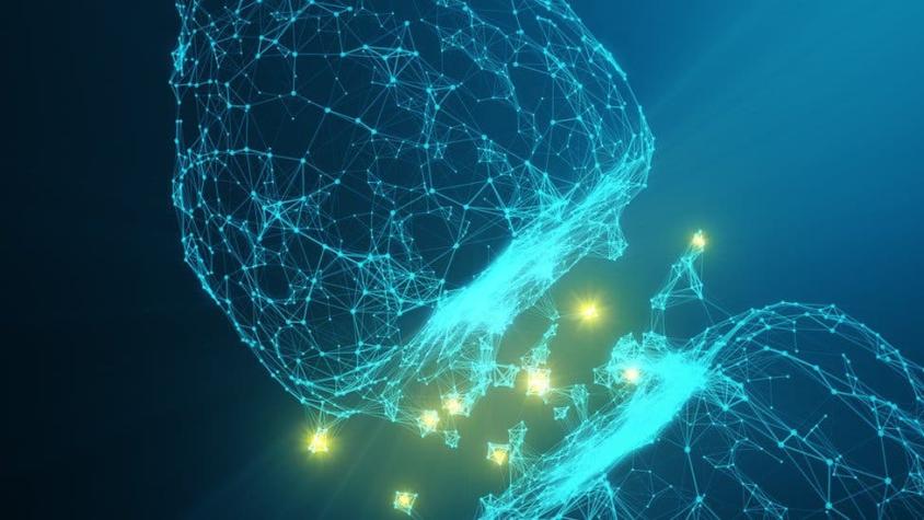 Cómo calcularon los científicos que tu cerebro es más potente que internet