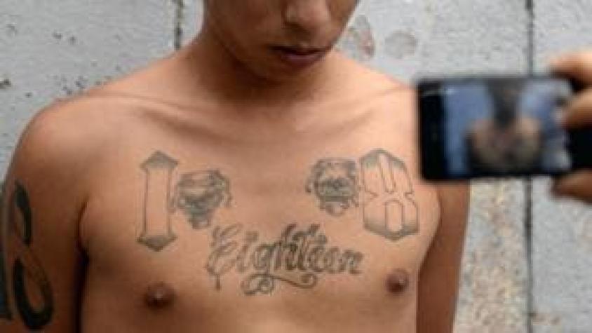 Drogas, extorsiones y asesinatos: las otras pandillas latinas que operan en EE.UU.