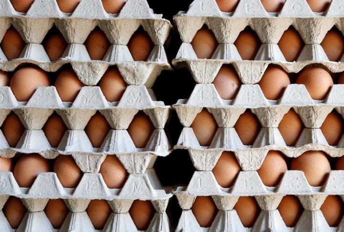 Crisis del huevo: autoridades belgas en la mira
