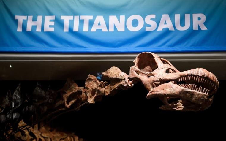 El dinosaurio más grande del mundo es argentino y ya tiene nombre oficial