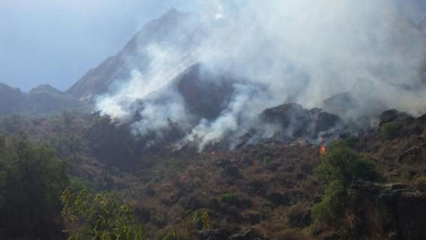 Chile ofrece ayuda a Bolivia por incendios forestales que ya dejan un muerto