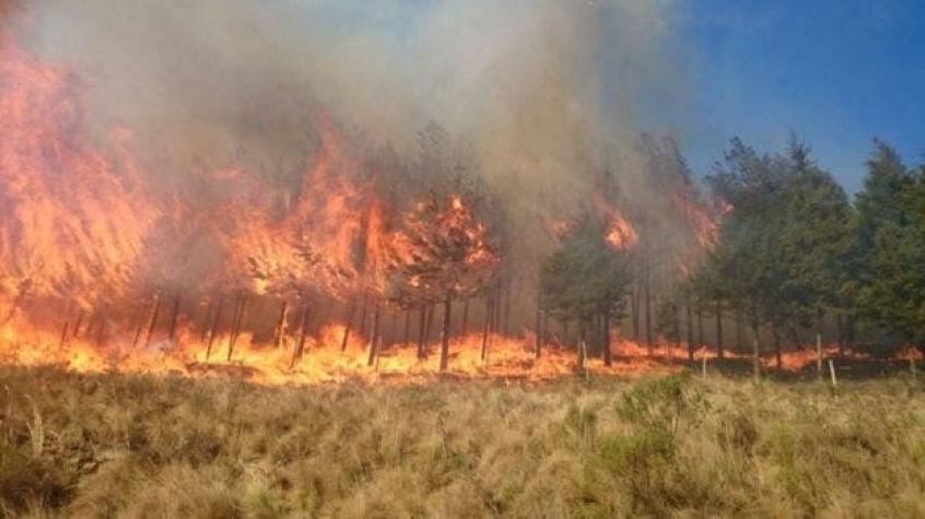 Bolivia: Dos personas fallecen en medio de incendio en reserva biológica