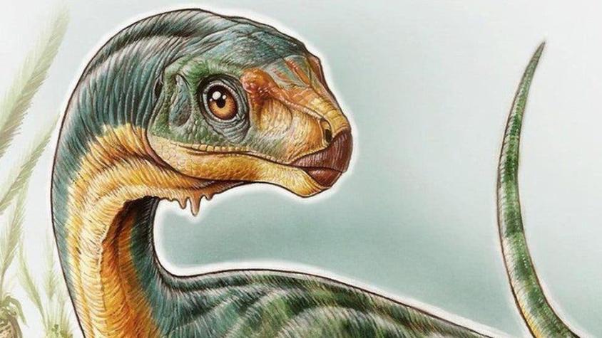 Resuelven el misterio del "Chilesaurio": el dinosaurio más extraño de los conocidos