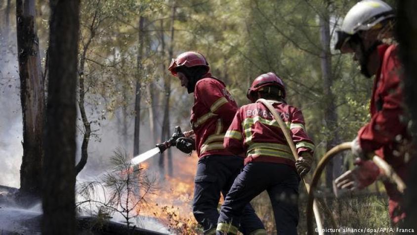 Portugal: incendios arrasaron 141.000 hectáreas este año