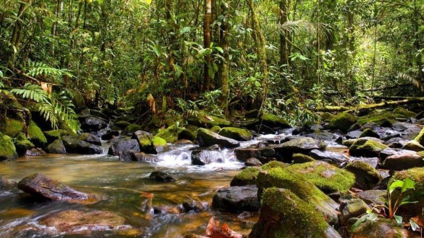 Brasil: suspenden polémico decreto que abría a la minería una valiosa reserva de la Amazonía