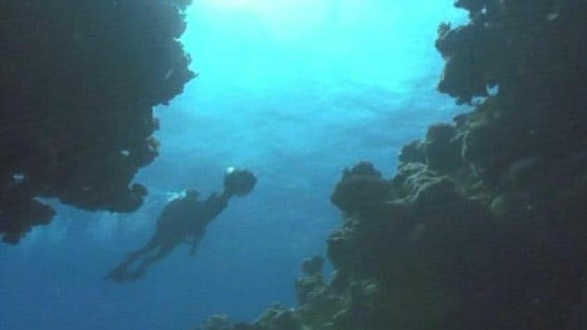 Japón vigila sus corales por sospechas de pesca ilegal china