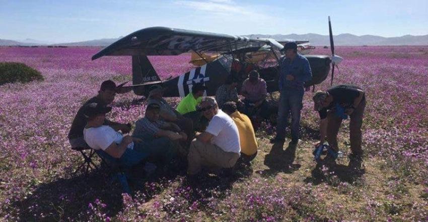 Conaf evalúa acciones legales por aterrizaje de avionetas en desierto florido