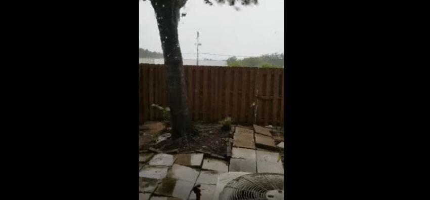 [VIDEO] El impresionante momento en el que el Huracán Irma arrancó un árbol de raíz