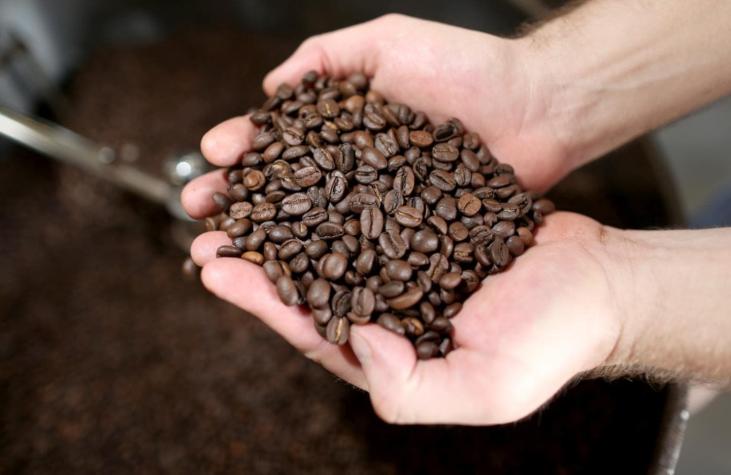 Café latinoamericano en riesgo por culpa del calentamiento global