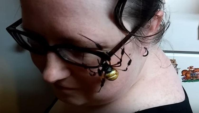 Mujer permite que una araña camine por toda su cara y se convierte en viral
