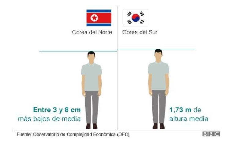 9 gráficos para entender cómo se vive en la hermética Corea del Norte