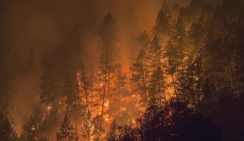 Suben a 40 los muertos por los incendios de California