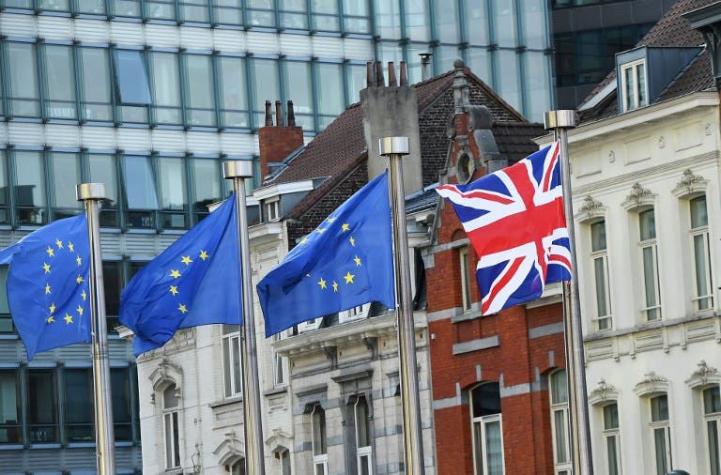 La OCDE advierte que anular el Brexit tendría un impacto económico muy "positivo"