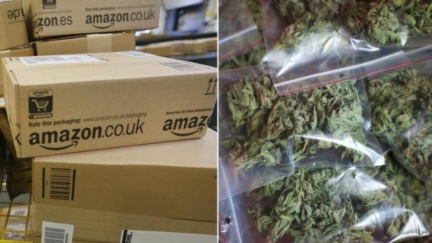 Encargan contenedores plásticos por Amazon.... y los reciben con 30 kilos de marihuana