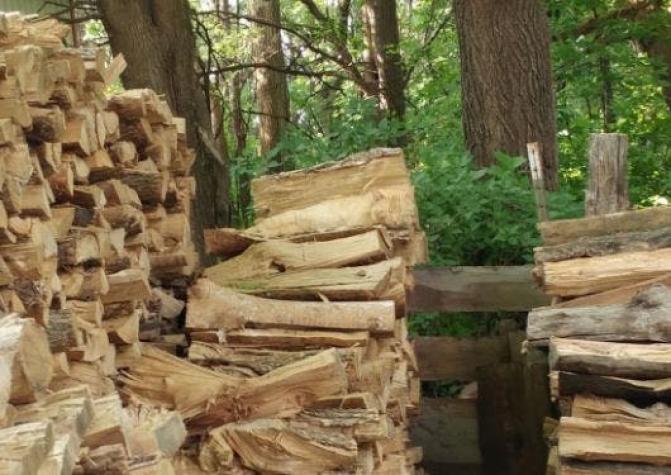 Canadá pide arbitraje en conflicto sobre la madera con EEUU