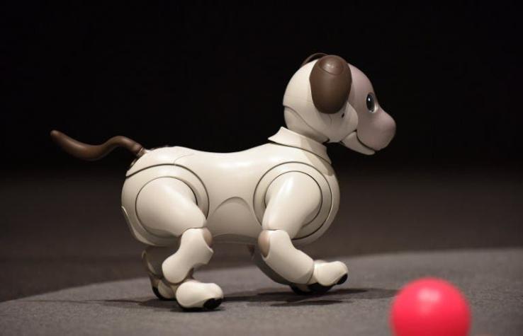 Sony presentó la nueva versión de su perro robot