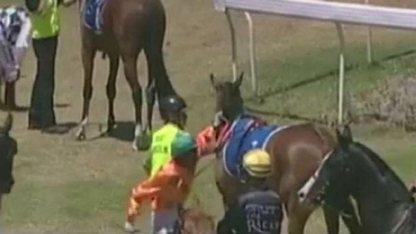 Australia: castigan a un jinete por brutal puñetazo a caballo que perdió carrera