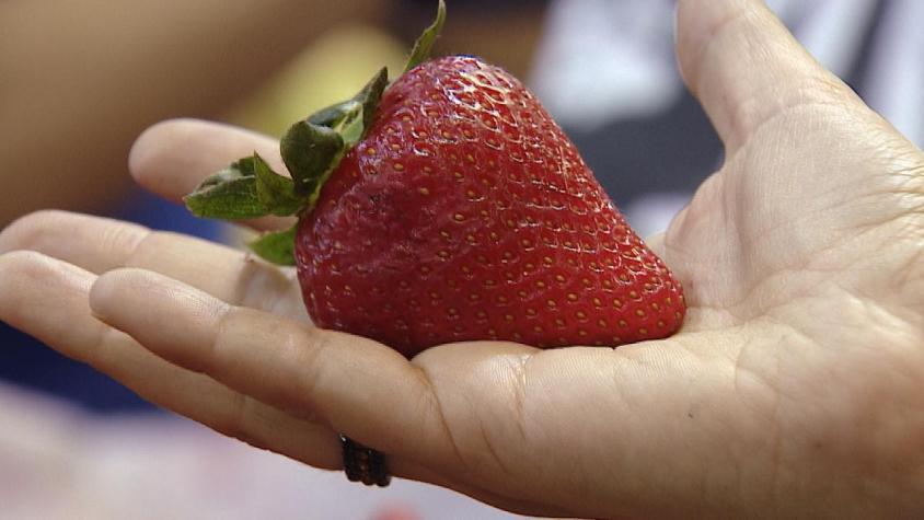 [VIDEO] Se esperan bajas de hasta un 30% en algunas frutas de verano