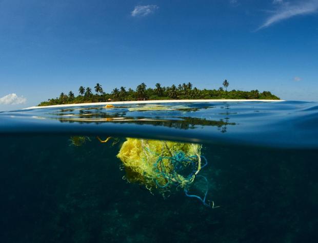 Iniciativa busca a 4 chilenos para que viajen a las islas Maldivas a aprender a cuidar el océano