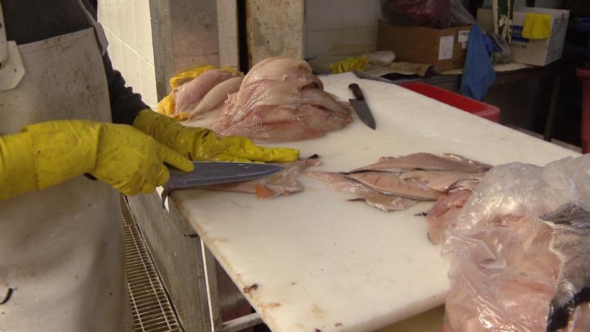[VIDEO] Roban mil kilos de merluza descompuesta