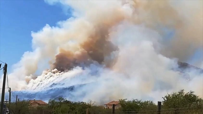 Bomberos y Conaf logran controlar incendio forestal en Chicureo