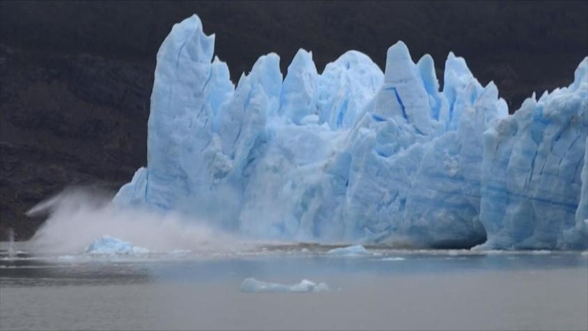 [VIDEO] Glaciar Grey desprende iceberg gigante
