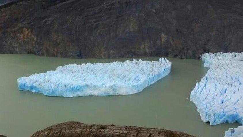 Tres cosas que hacen muy inusual al iceberg gigante que se desprendió del glaciar Grey en Chile