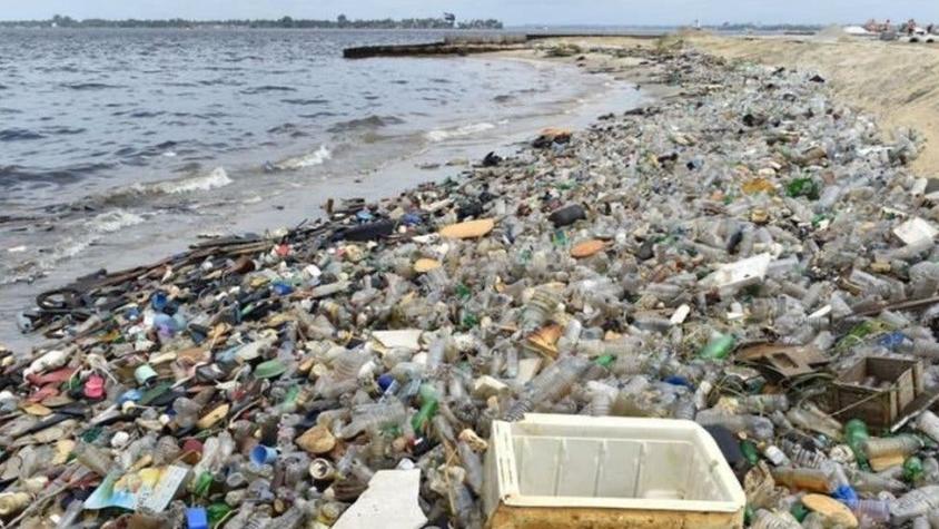 Una crisis planetaria: las terribles consecuencias de la "plaga de plástico" en los océanos
