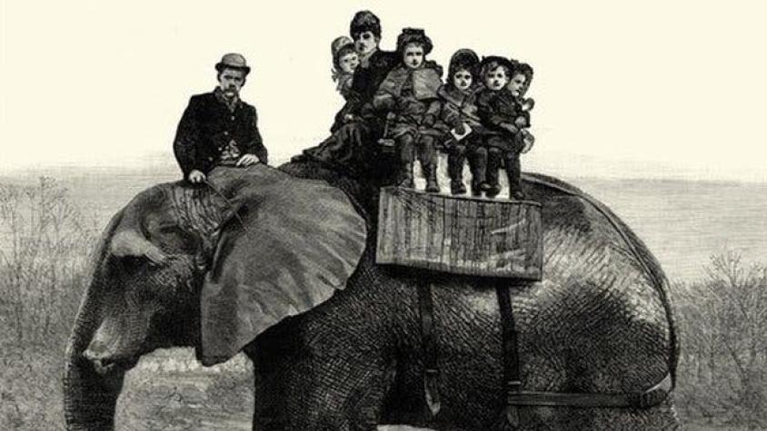 La trágica vida de Jumbo, el elefante "más famoso del mundo" que inspiró a Dumbo de Disney