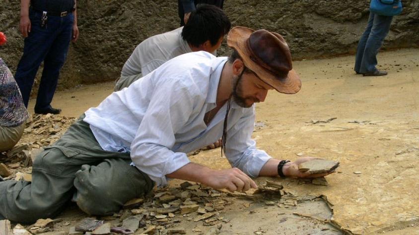Un cazador de fósiles latinoamericano hace uno de los mayores descubrimientos de reptiles voladores