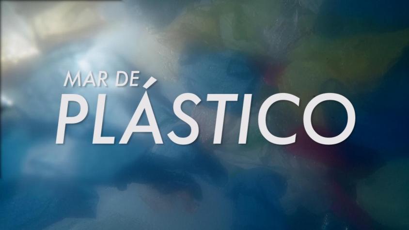 [VIDEO] Reportajes: Mar de plástico
