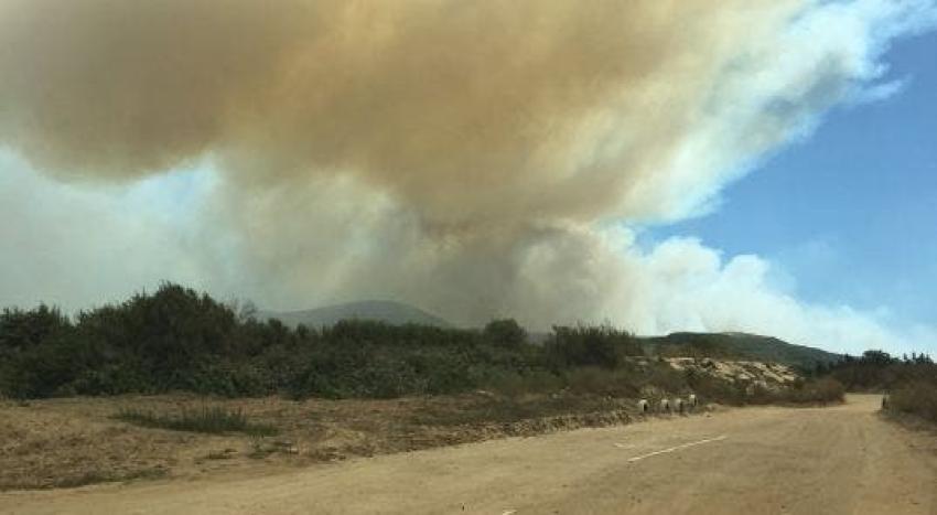Decretan Alerta Roja en Limache y Villa Alemana por incendio forestal.