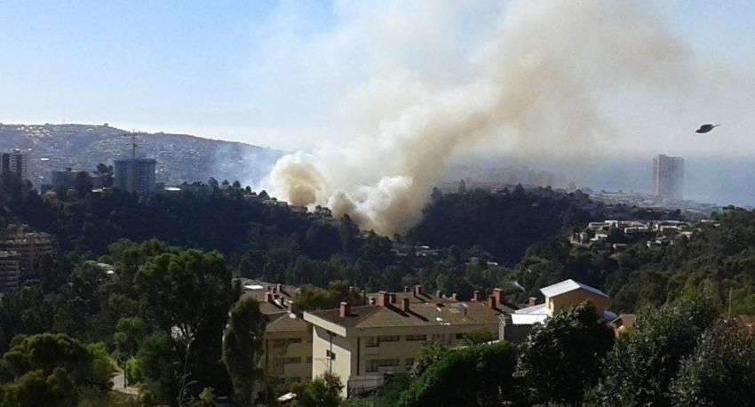 Decretan Alerta Roja en Valparaíso por incendio forestal en Villa Portuaria