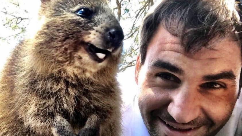 La selfie de Roger Federer con "el animal más feliz del mundo", que ha puesto a sonreír a internet