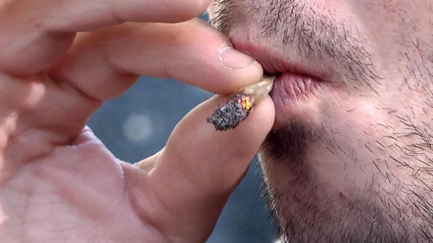 [VIDEO] Aumenta consumo de marihuana en Chile