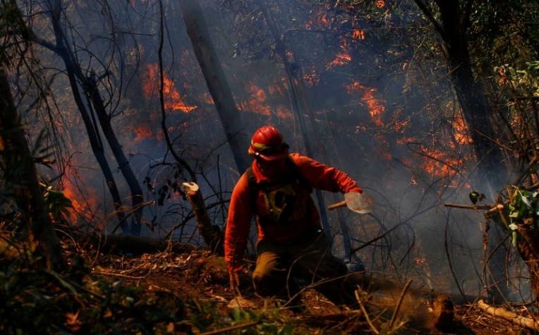 Alerta Roja en Valparaíso por incendio forestal que amenaza Reserva Nacional