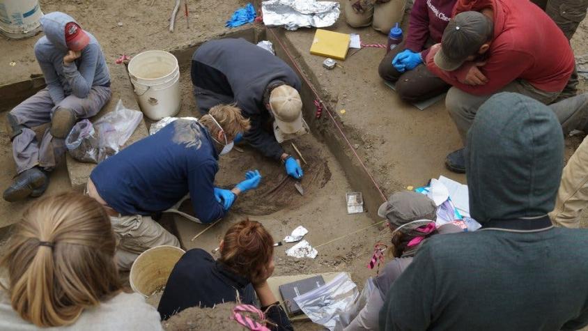 Los restos que son claves para saber cómo y cuándo llegaron los primeros humanos a América