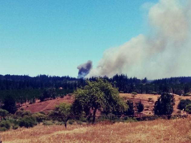 Onemi declara Alerta Roja en Portezuelo por incendio forestal
