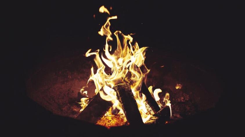 ¿Fueron los humanos los primeros en aprender a usar el fuego?... Algo indica que no