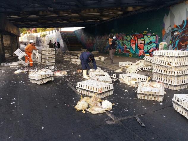 Camión con pollos choca con paso bajo nivel en San Bernardo