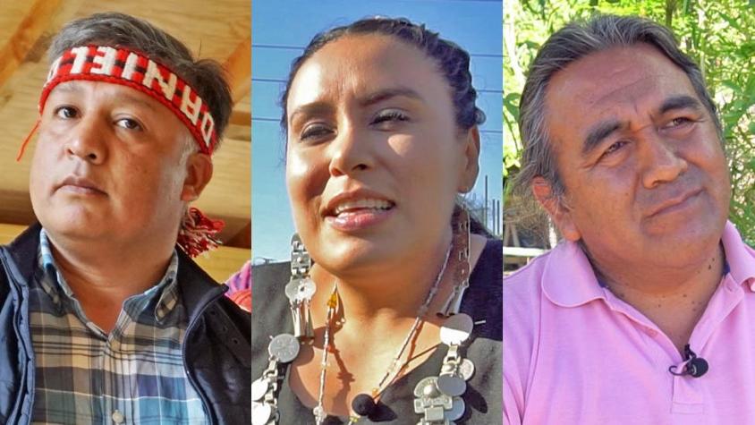 3 mapuches exitosos en su comunidad y que rompen con estereotipos en Chile