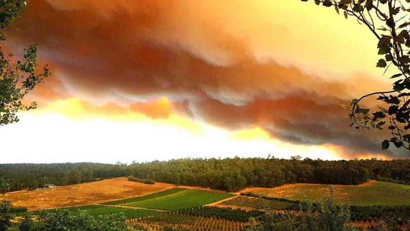 Las impresionantes imágenes de cielos naranja que dejaron los incendios en Australia