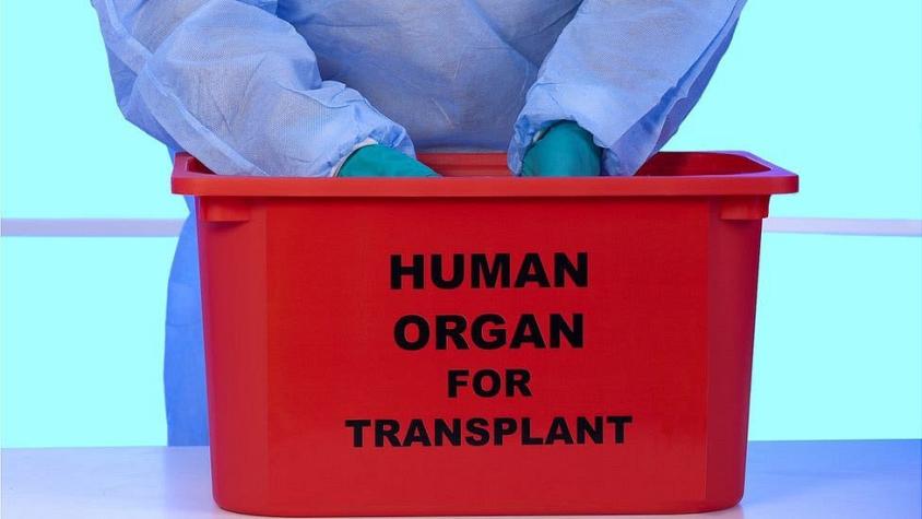 El drama en el quirófano durante un revolucionario trasplante que promete salvar miles de vidas
