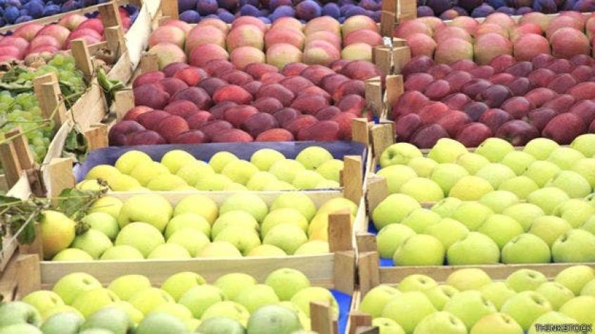 Exportadores buscan potenciar consumo de fruta chilena en Europa