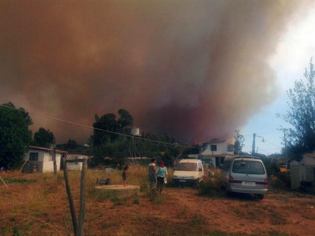 Onemi declara alerta roja por incendio forestal en Talagante