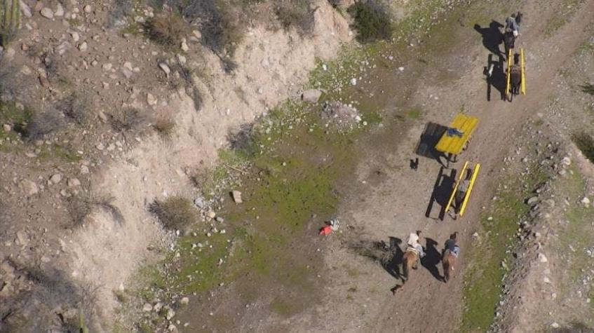 [VIDEO] Banda utilizaba burros para robar en la precordillera de Rancagua