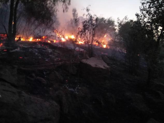 Parque Metropolitano investigará presunta "acción dolosa" en incendio que afectó a 12 hectáreas