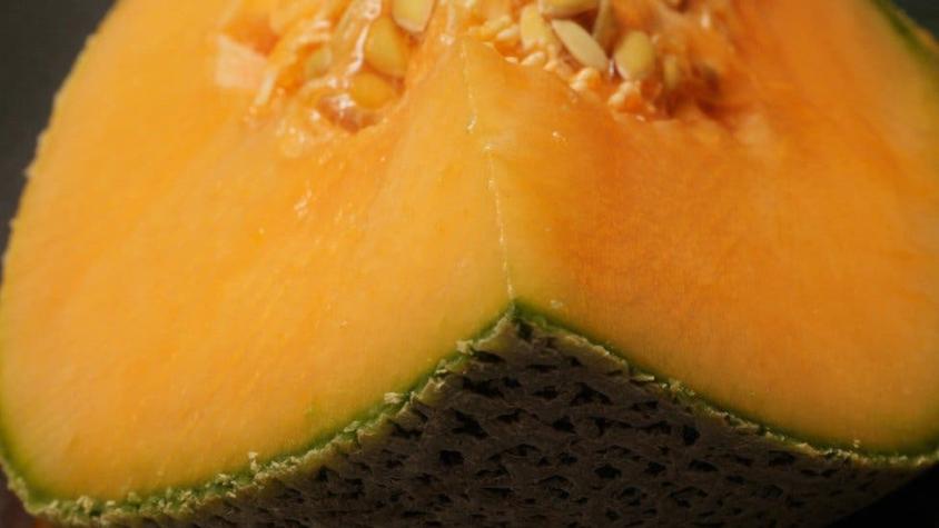 Qué es la listeria, la bacteria que ha matado a 3 personas en Australia después de comer melón